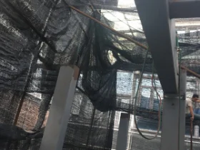 鋼結構工程施工